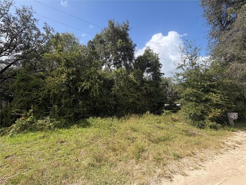 Land, SILVER SPRINGS, FL