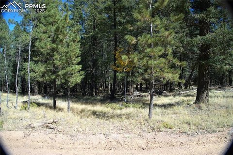 LAND - Florissant, CO