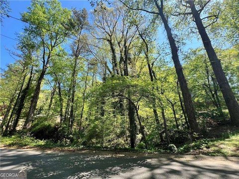 East Cobb Wooded Lot