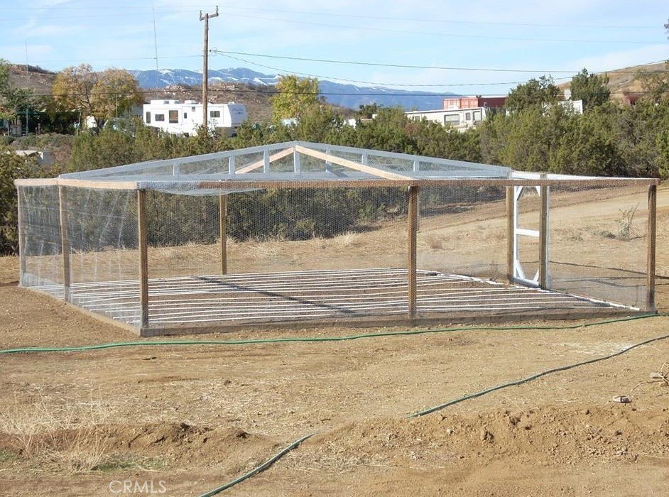 Picture 10