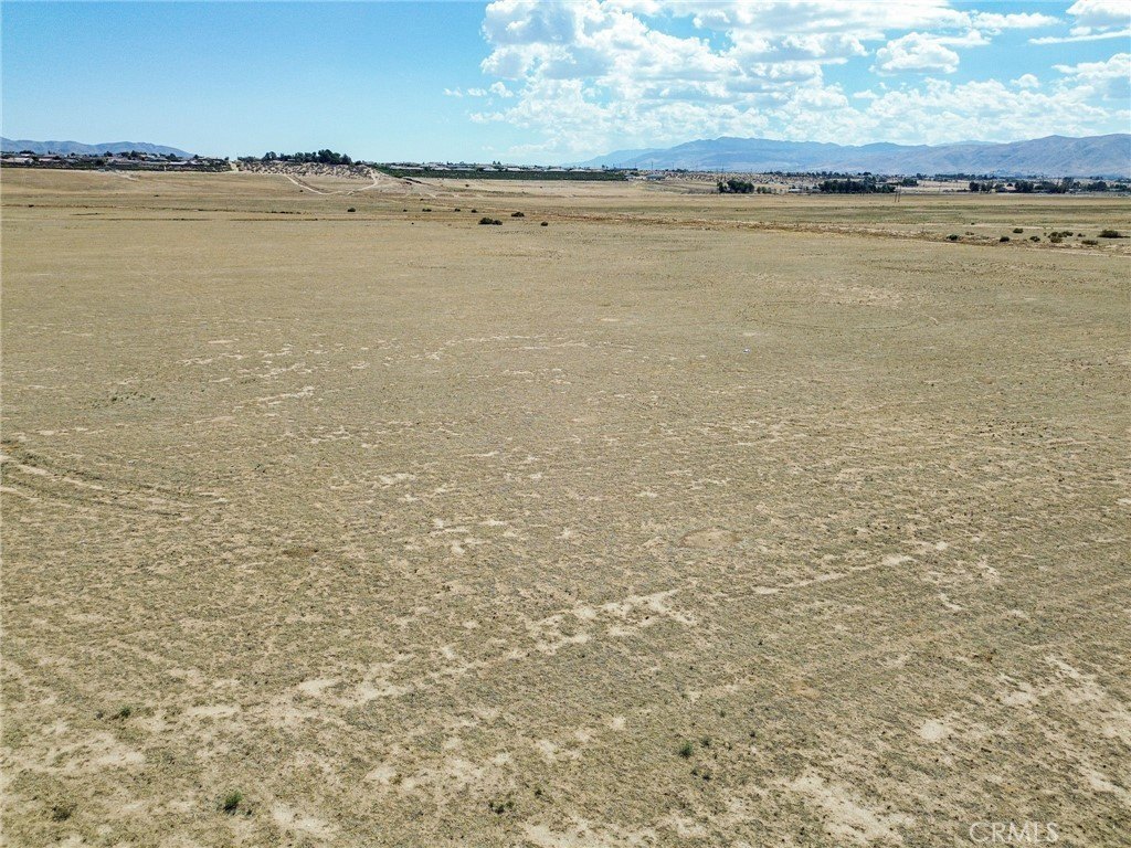 Picture 19