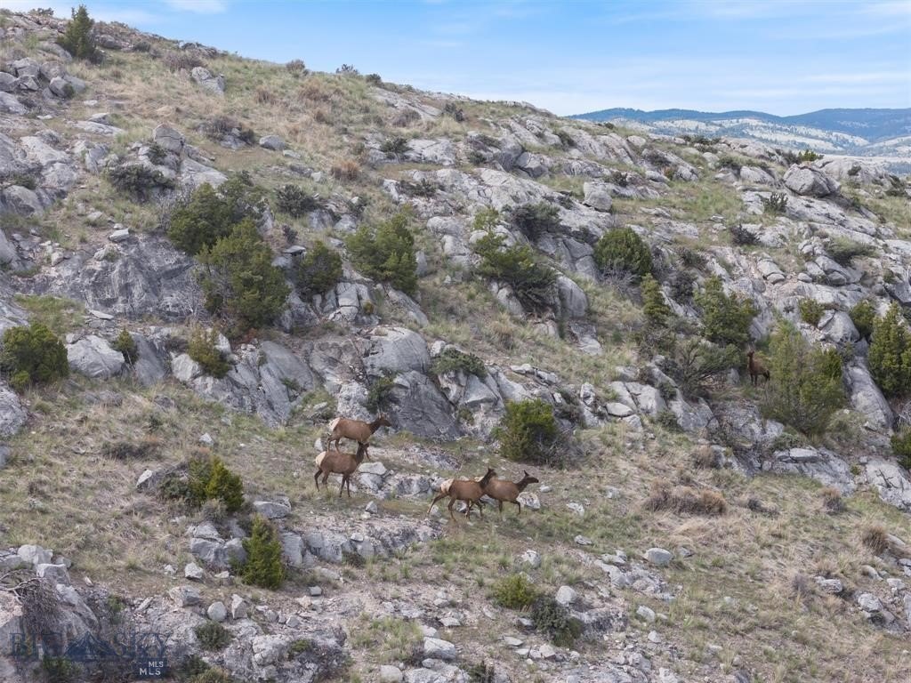 Picture 23