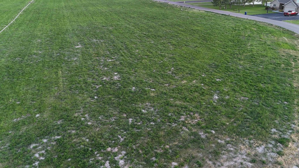 Picture 14