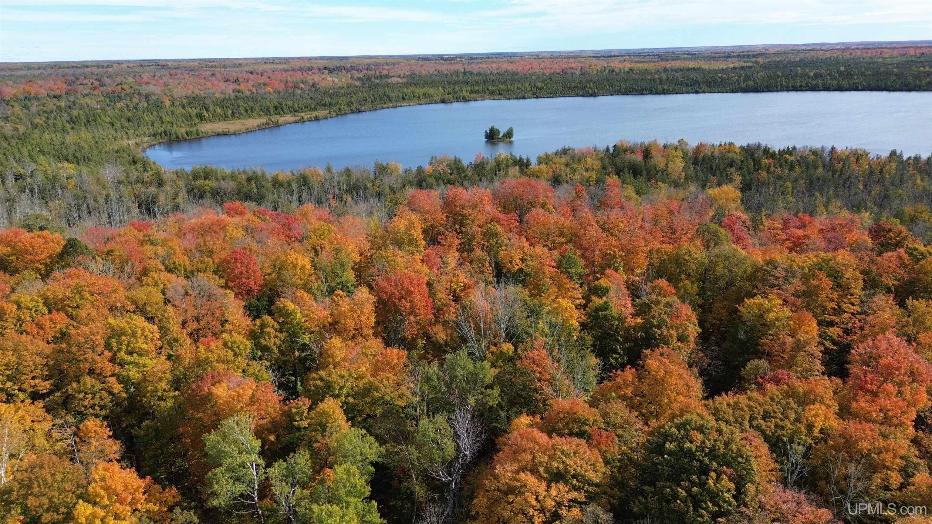 10 Acres with Cedar Lake Frontage