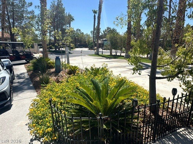 Picture 10