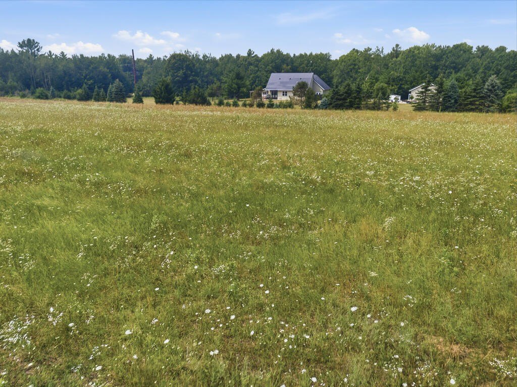 Picture 12