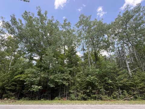 LAND - Presque Isle, MI