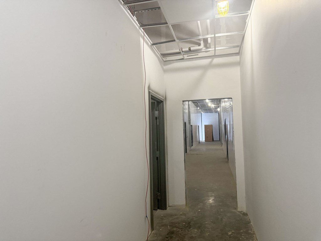 Picture 45