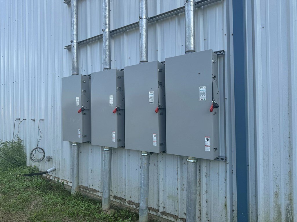 Picture 15