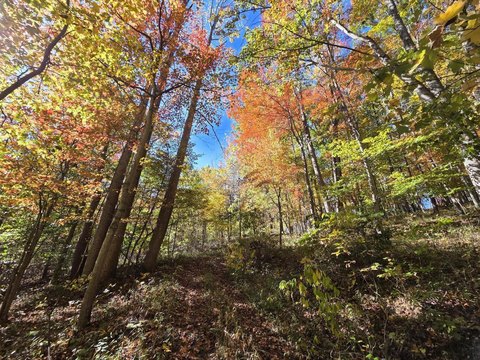 Land, Peterstown, WV
