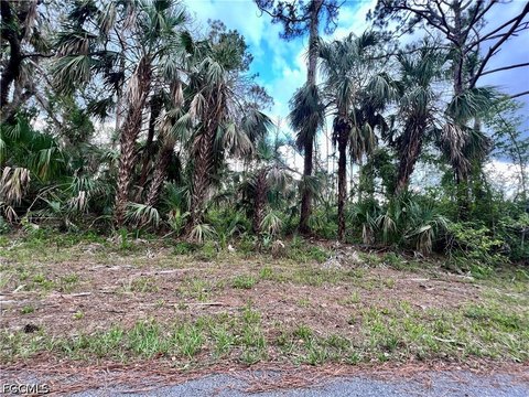LAND - Port Charlotte, FL