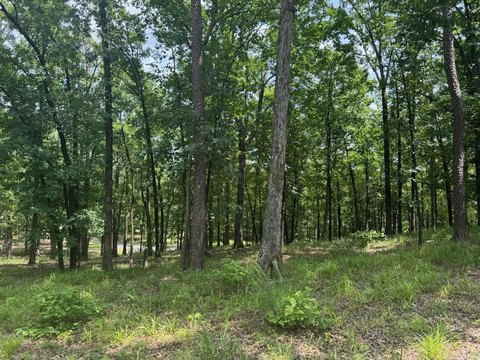 Residential Land in Mena, AR