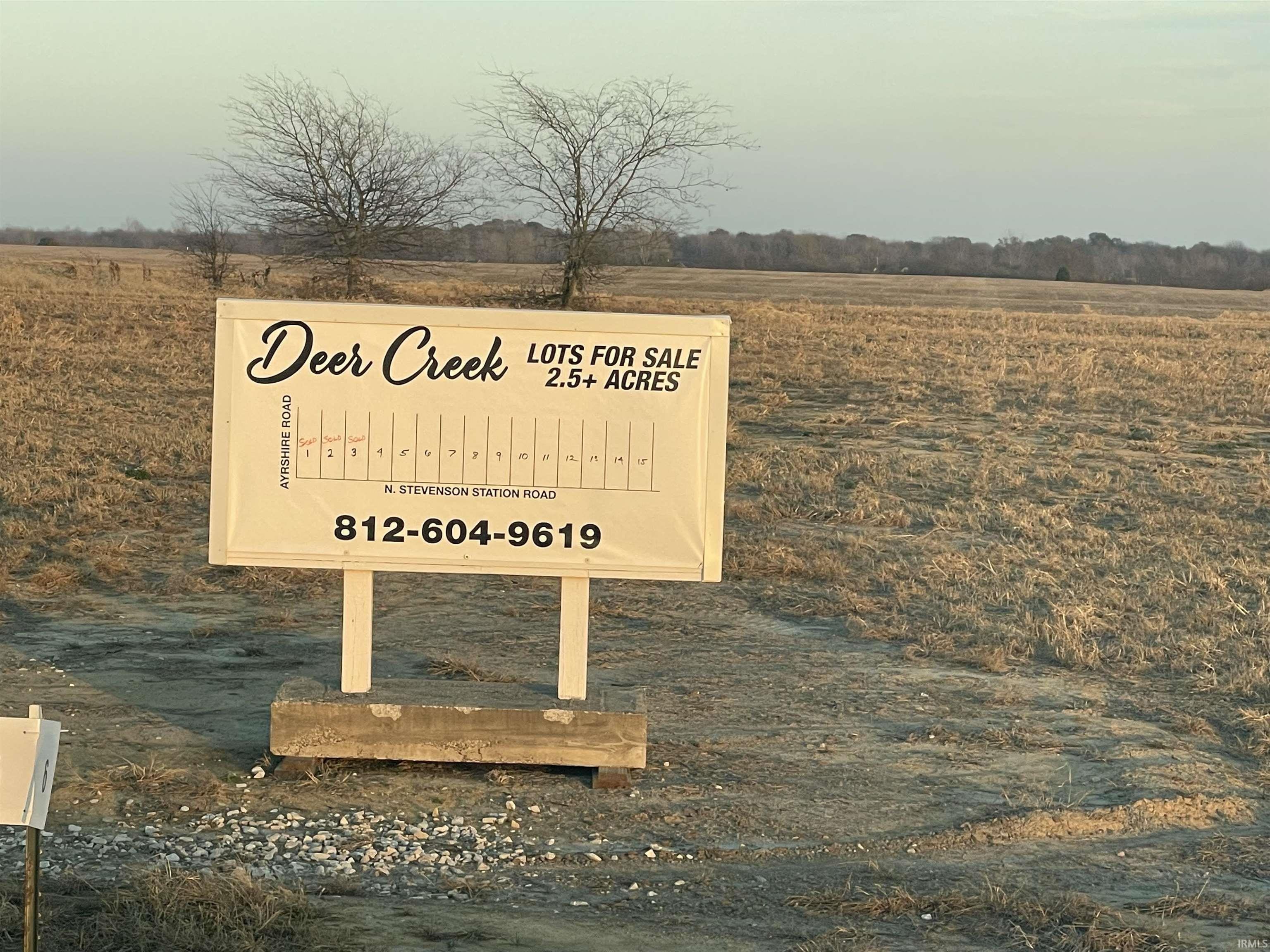 Residential Land in Chandler, Indiana
