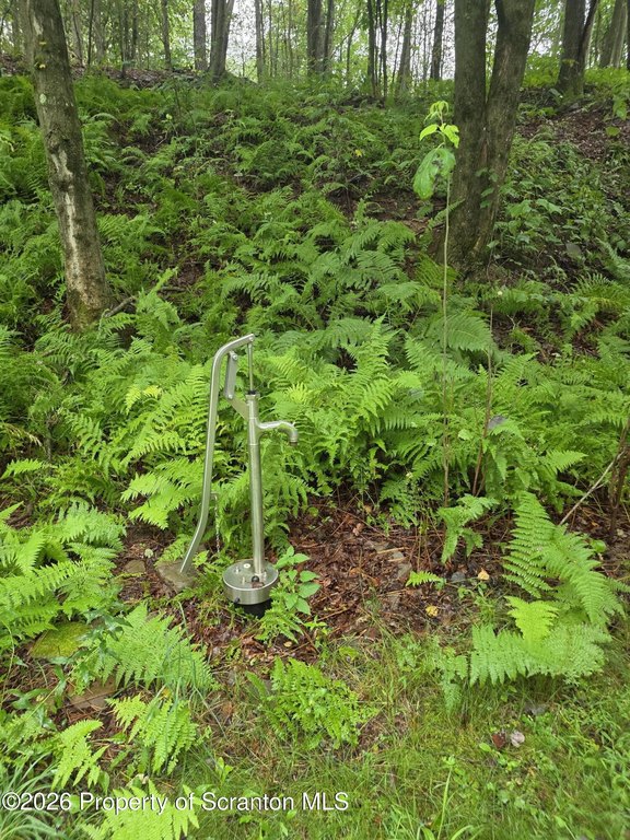 Picture 9