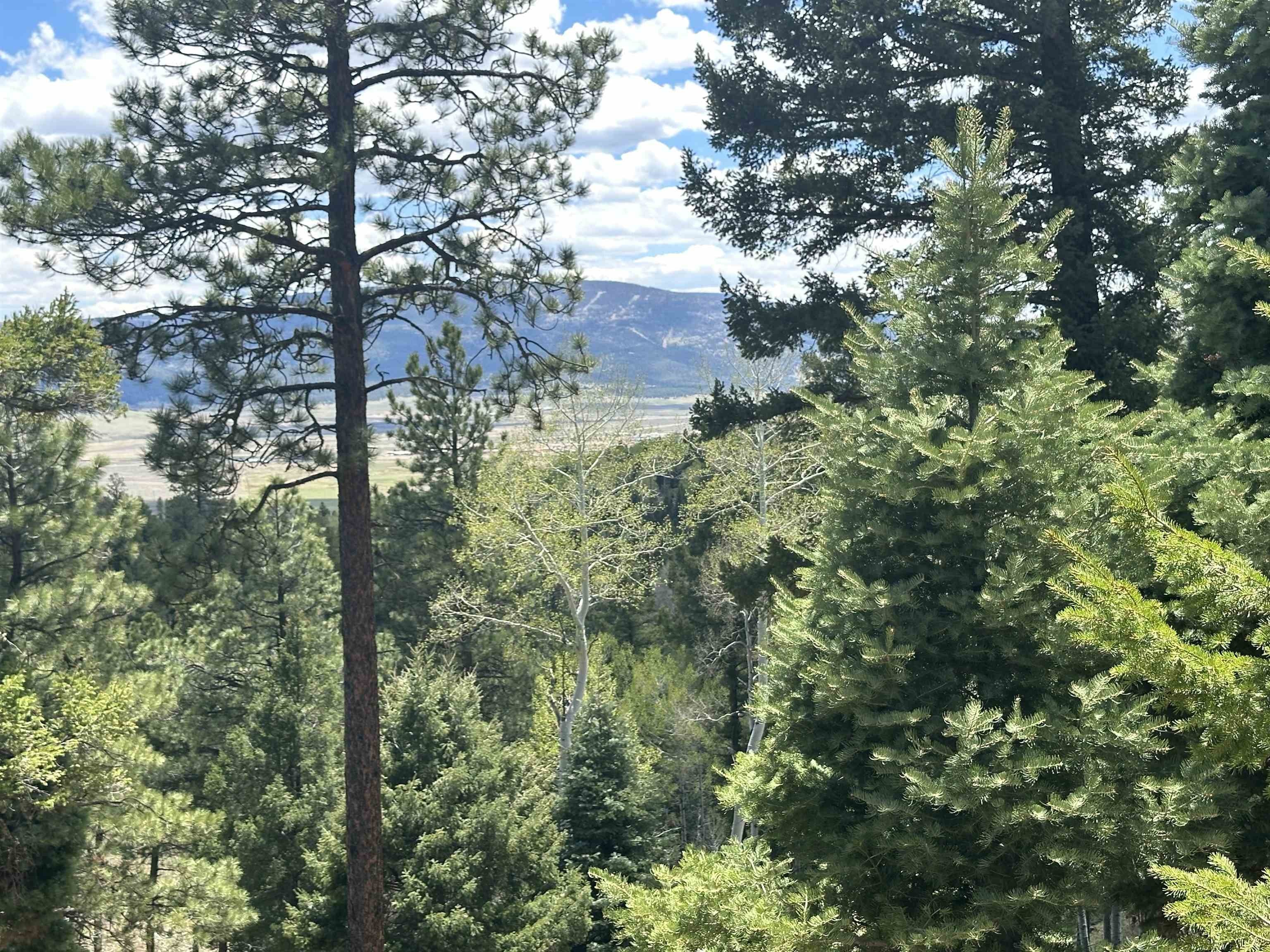 Land with Mountain and Valley Views