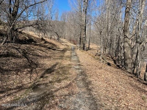 Summit, NY Land with Views