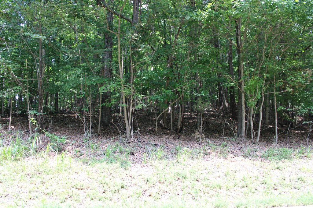 Picture 4
