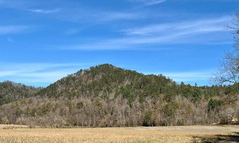 LAND - Del Rio, TN