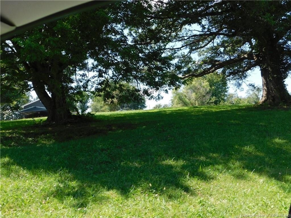 Picture 3