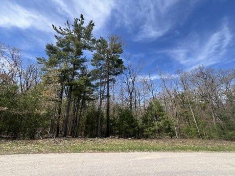 Wooded Lot Near Indian River