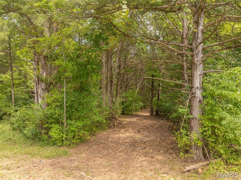 Picture 10