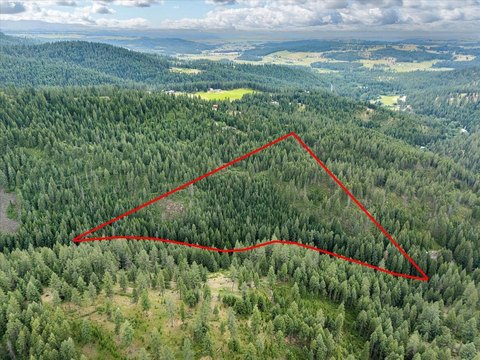 Mead, WA Forest Land