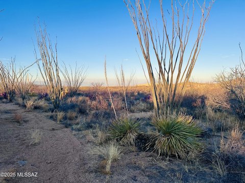 30 Acres in Sahuarita, AZ