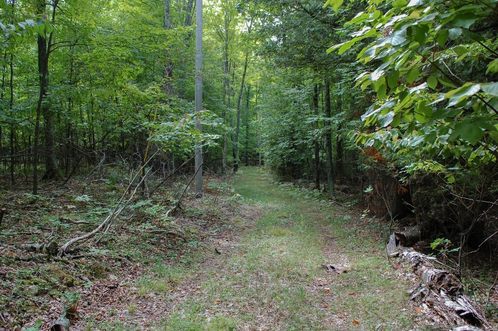 Picture 6