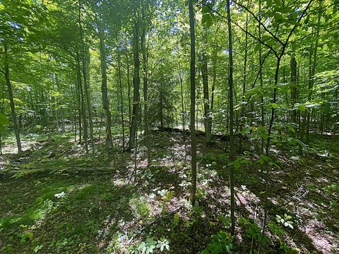 Inland-Land, Ellison Bay, WI
