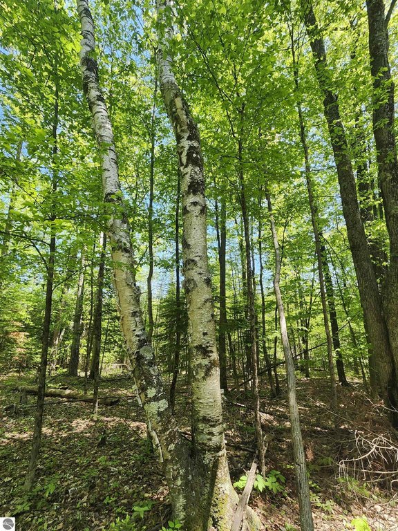 Picture 7