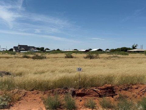 Land For Sale, Andrews, TX