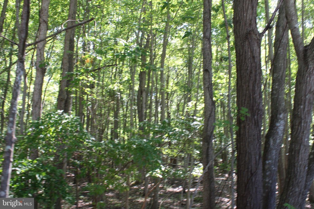Picture 34