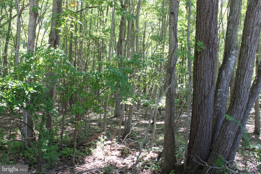 Picture 26