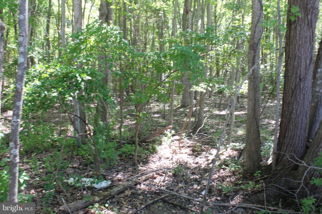 Picture 27