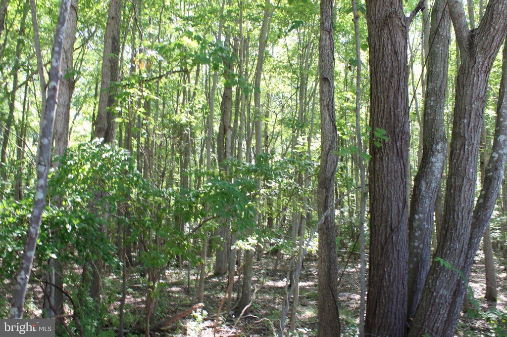 Picture 33