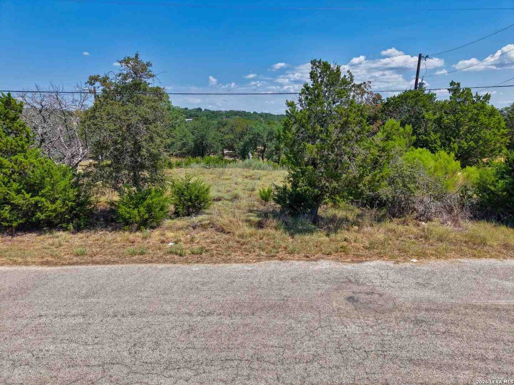 Picture 7