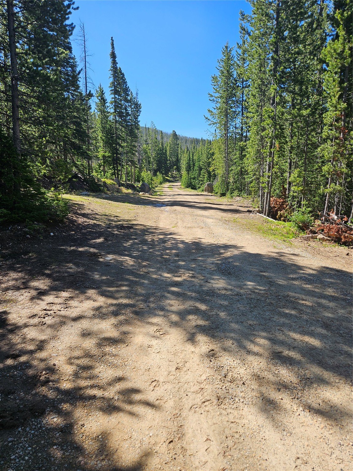 Montana Wilderness with Two Cabins