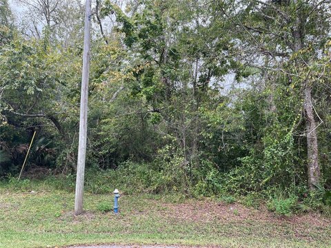 Land, PALM COAST, FL