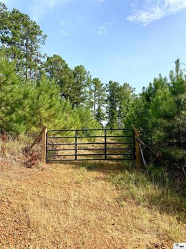 Hunting and Agricultural Tract