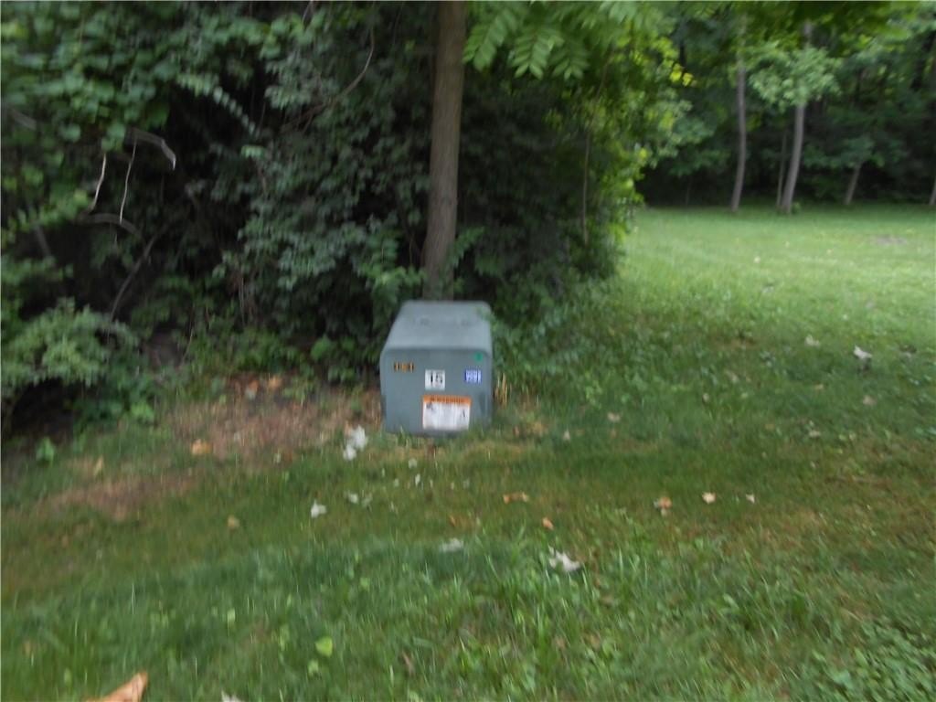 Picture 14