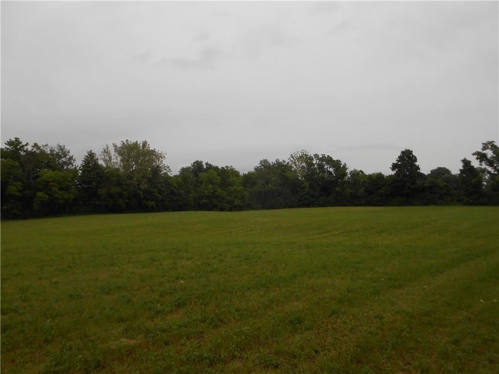 Picture 9