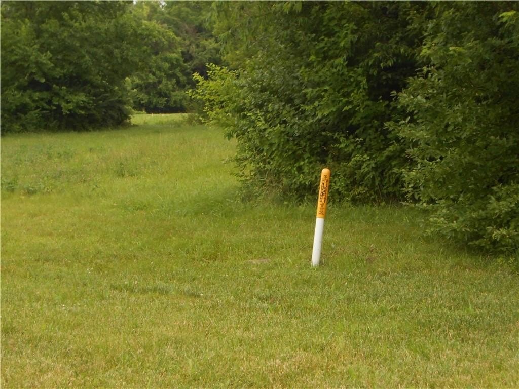 Picture 12