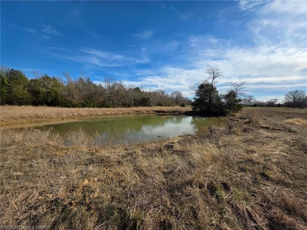 Mountain Land with Owner Financing