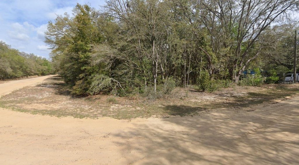 Picture 4