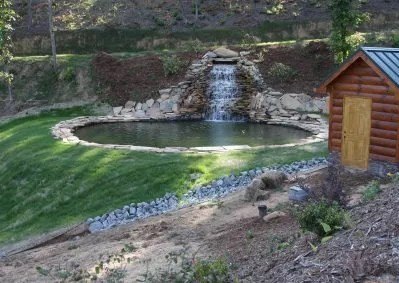 Picture 4