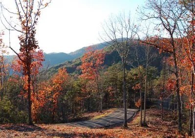 Picture 9