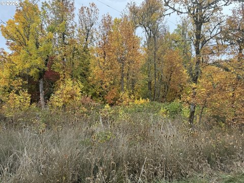 Residential Land in Desirable Neighborhood