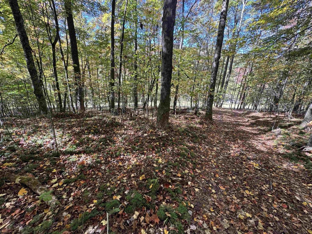 Picture 19