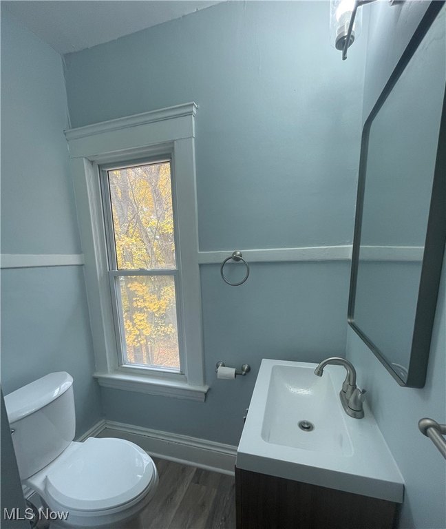 Picture 21