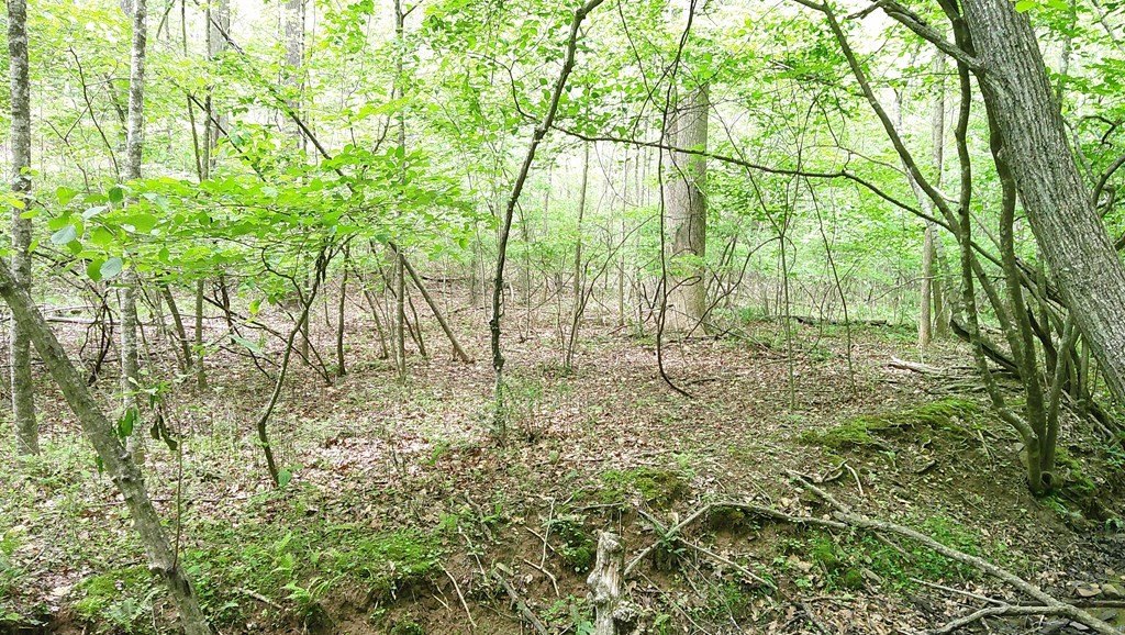 Picture 16